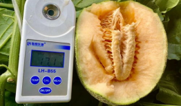 2021年吃瓜大全,盘点娱乐圈、社会热点那些事儿